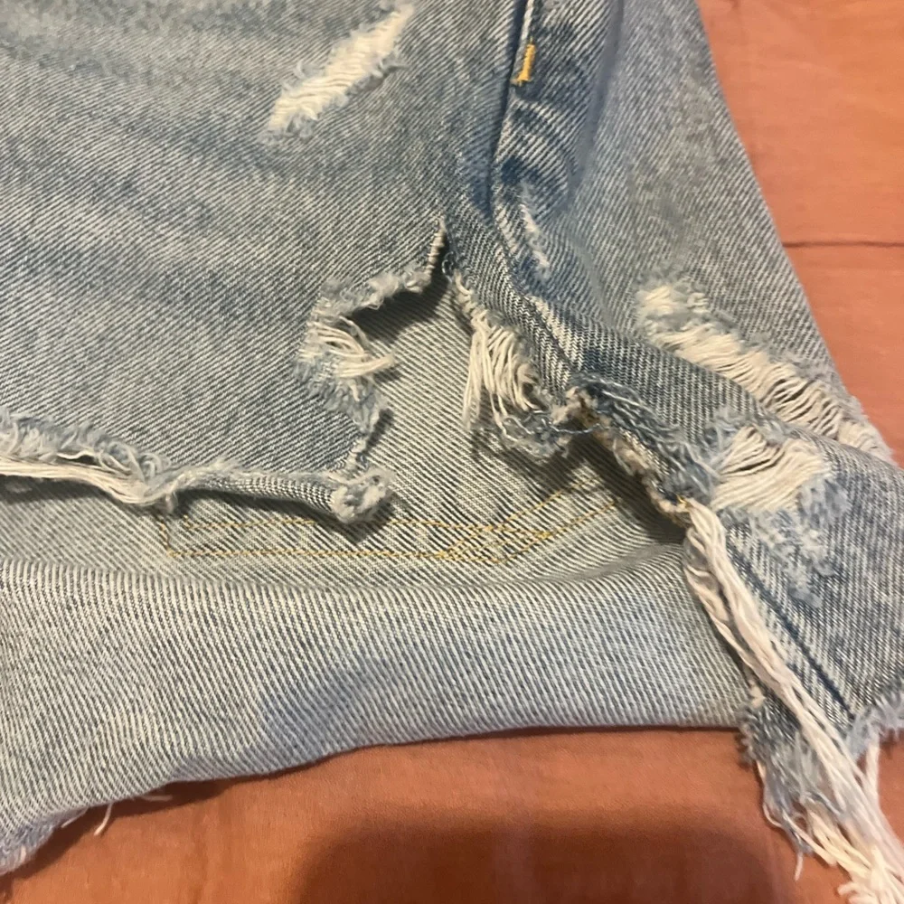 Agolde Parker Denim Jean Shorts